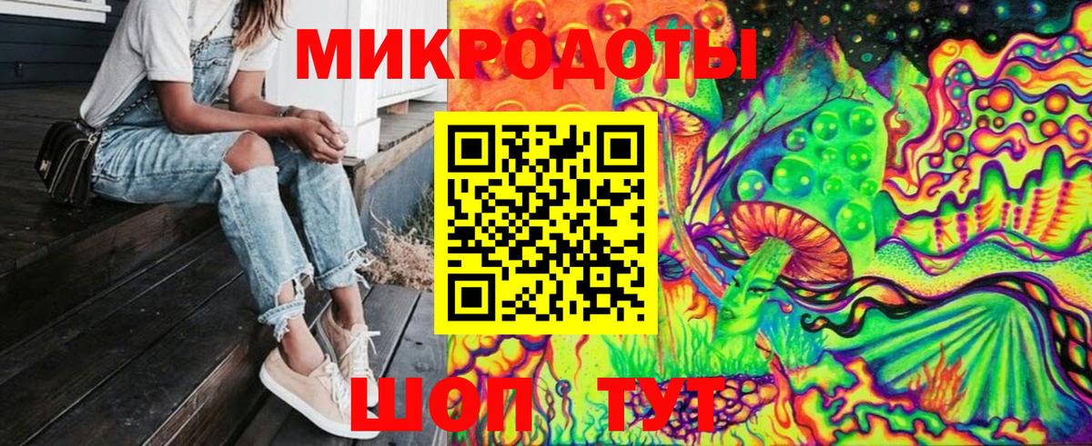 Галлюциногенные грибы Psilocybe Аргун