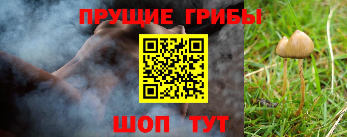 Псилоцибиновые грибы ЛСД  Галлюциногенные грибы мицелий  Вход с VPN  Аргун 