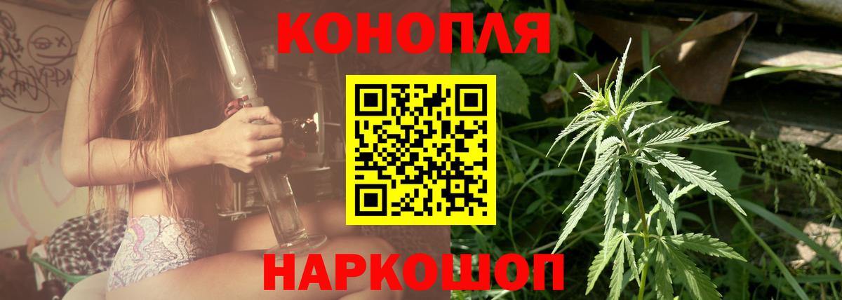 Каннабис индика Аргун
